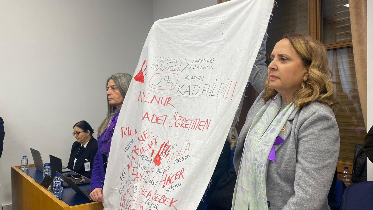 MPs unfurl 'burial shroud' in protest of femicides during budget talks